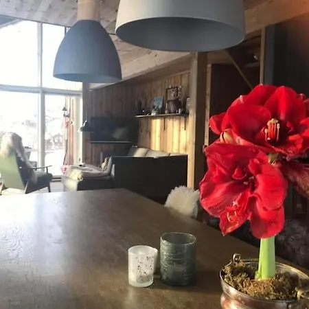 Holiday home Flott Pa Naer Haukelifjell Skisenter Og Skiloyper Vagslivatnet