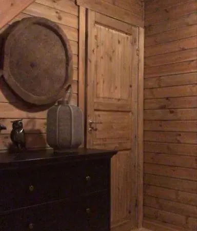 Flott Pa Naer Haukelifjell Skisenter Og Skiloyper Holiday home