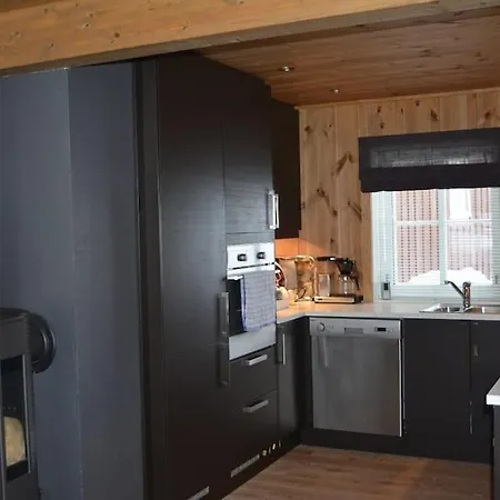 Holiday home Flott Pa Naer Haukelifjell Skisenter Og Skiloyper
