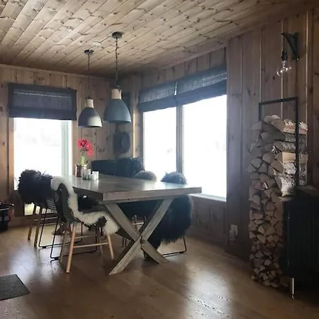 Holiday home Flott Pa Naer Haukelifjell Skisenter Og Skiloyper *