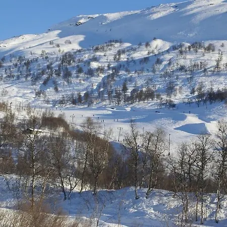 Flott Pa Naer Haukelifjell Skisenter Og Skiloyper