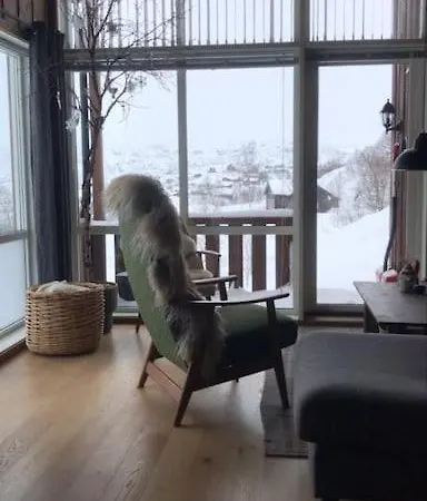 펜션 Flott Pa Naer Haukelifjell Skisenter Og Skiloyper *